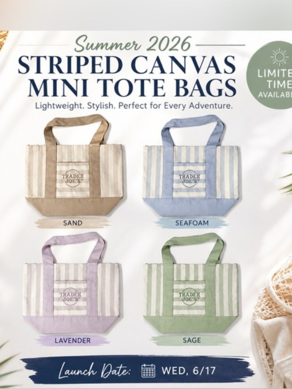 Trader Joe's Striped Canvas Mini Tote Bag Set Of 4